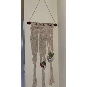 Hanging wall plant holder